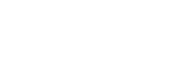 holypixel logo