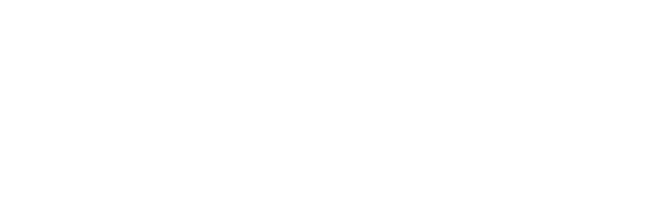 holypixel logo